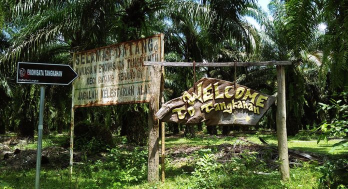 Tangkahan Eco Park Surga Tersembunyi Di Sumatera Utara