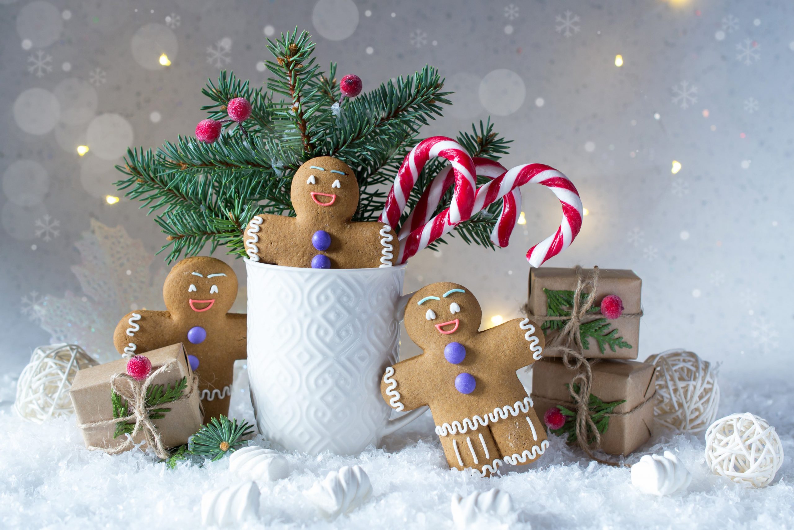 Gingerbread Cookies – Resep Kue Kering Mudah Untuk Merayakan Natal