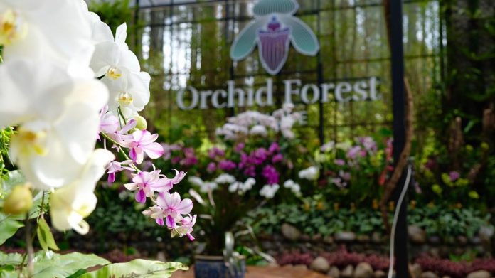 orchid-forest cikole-lembang-bandung