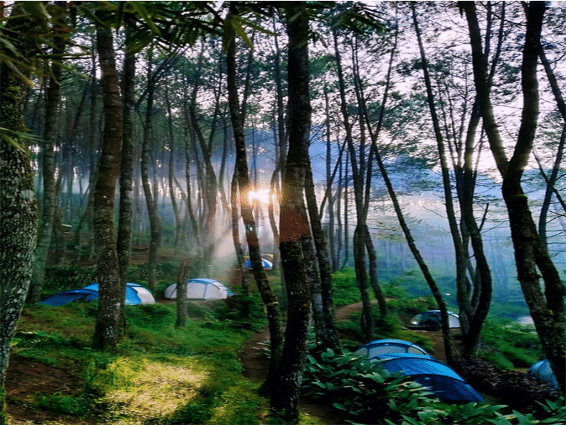 Camping Ground dan Fun Picnic di Rahong Pangalengan