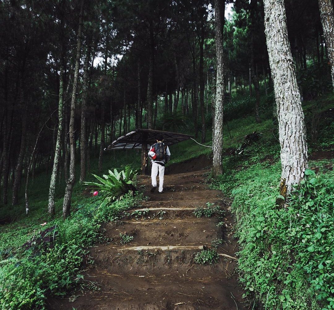 Menikmati Matahari Terbit Di Gunung Putri Lembang, Bandung – BookingTogo