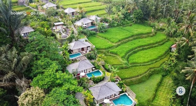 5 Wisata Ubud Yang Wajib Kamu Kunjungi – BookingTogo