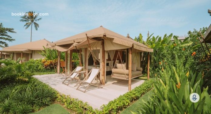 Tempat Glamping Di Bali – BookingTogo