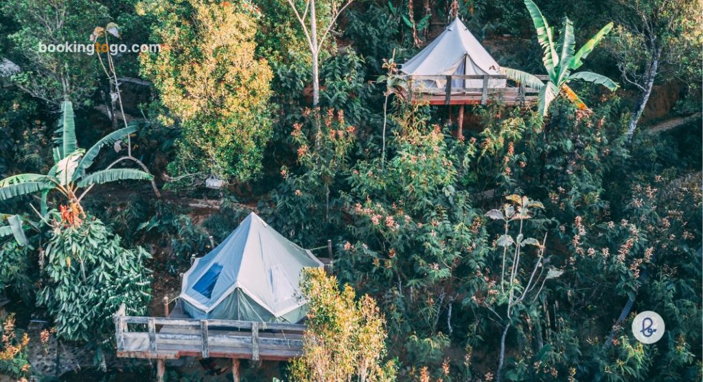 Tempat Glamping Di Bali – BookingTogo