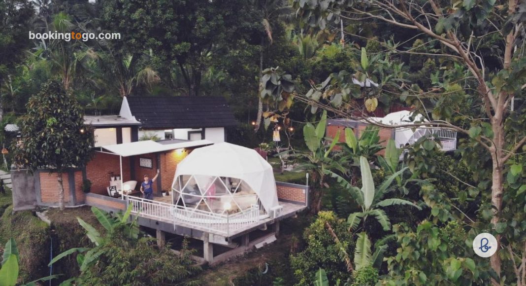 Moondock Luxury Camp Bali