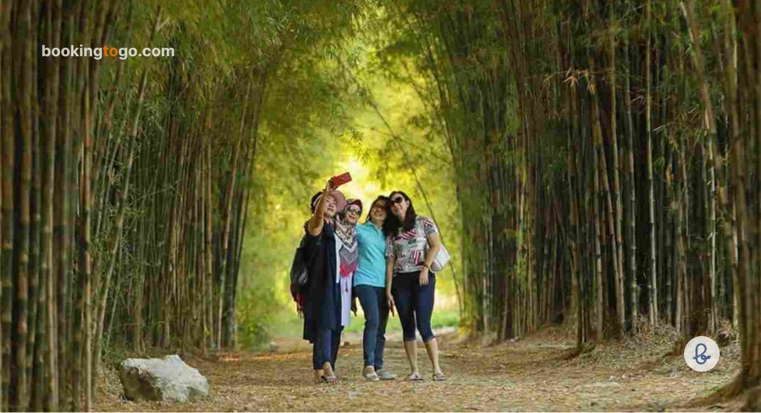Berfoto di Hutan Bambu Keputih Surabaya