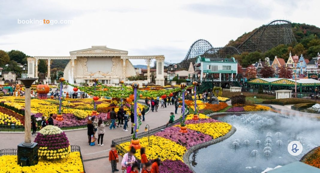 Everland Theme Park Seoul South Korea