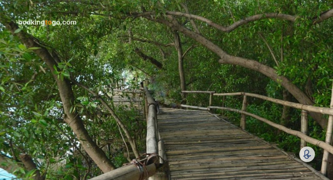 Jembatan Kayu Ekowisata Mangrove Surabaya