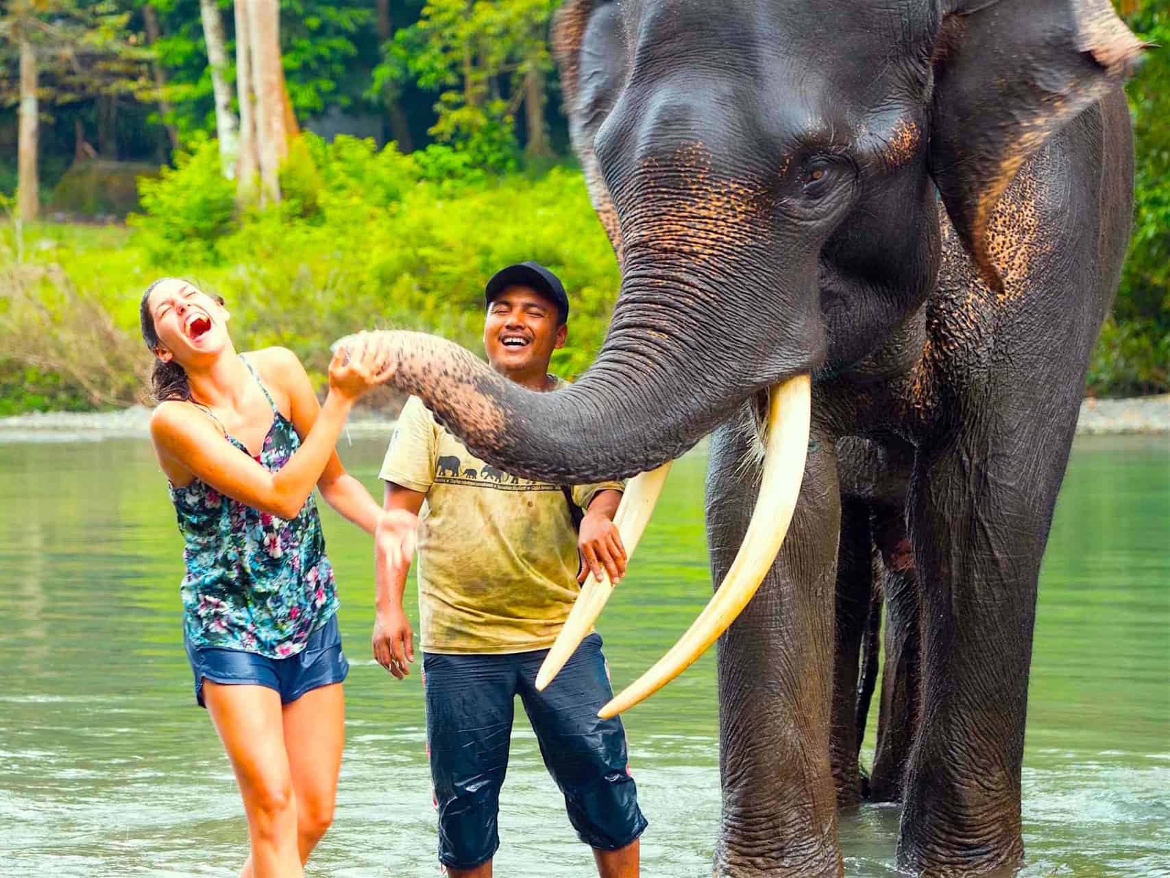 Wisatawan Mancanegara Bermain dengan Gajah