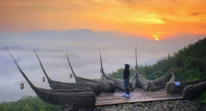 Geoforest Watu Payung Turunan Jogja, Spot Menikmati Sunrise yang Menawan