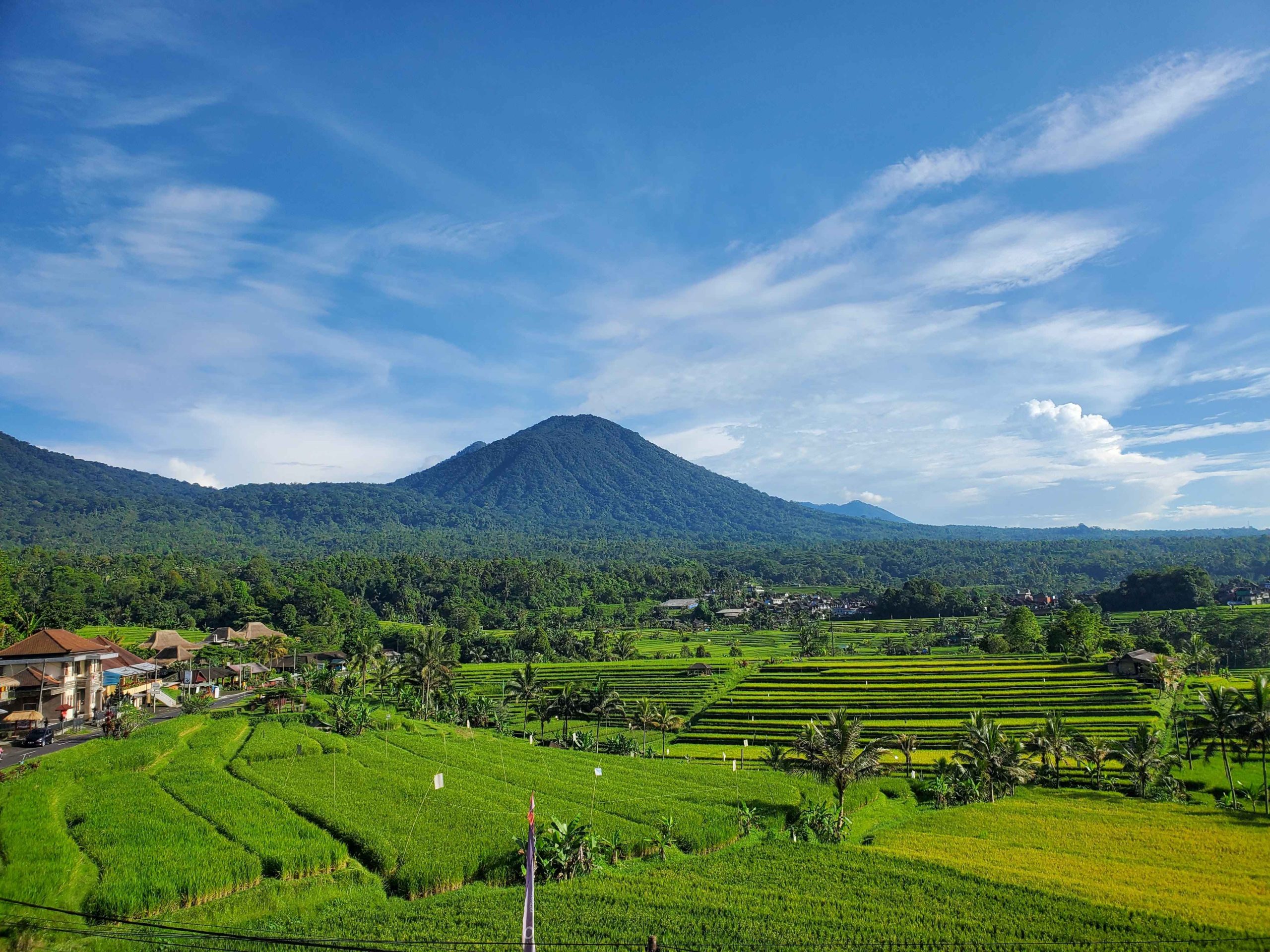 Desa Jatiluwih Desa terbersih di Bali
