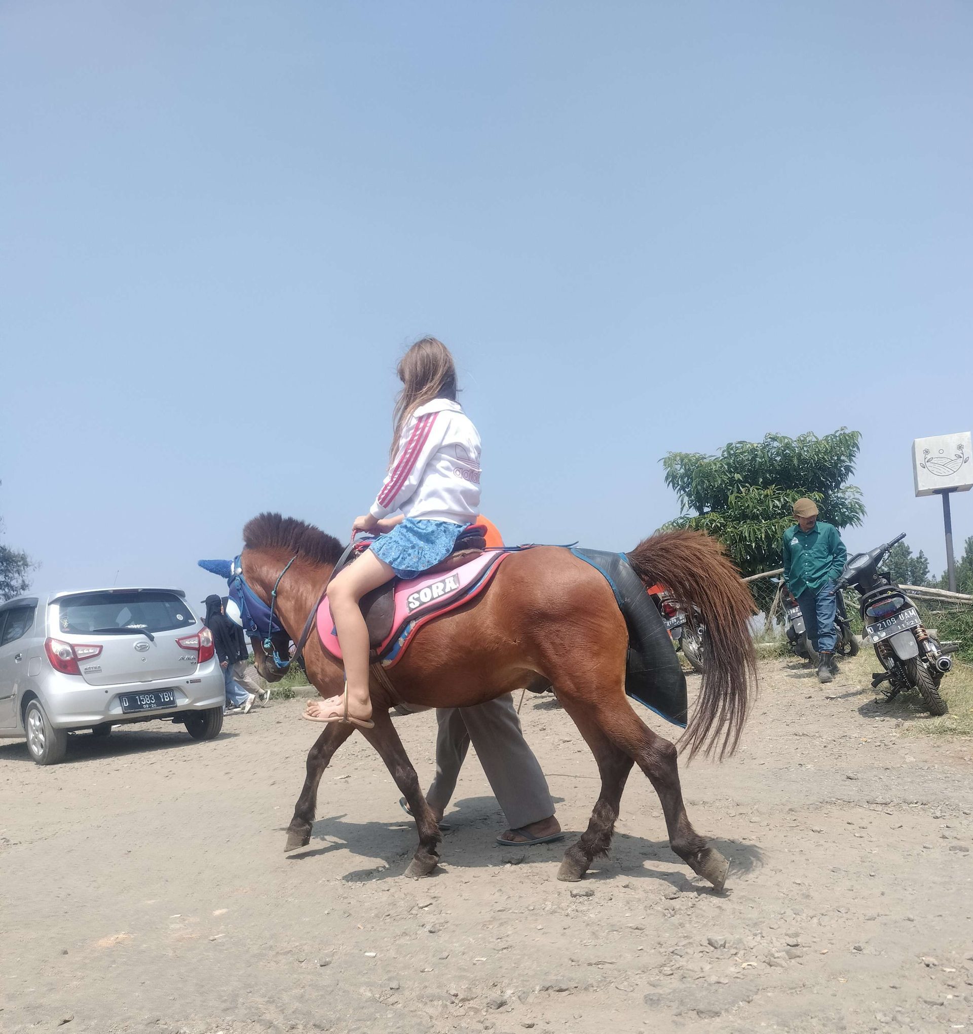 Kuda Tunggang Noah Park