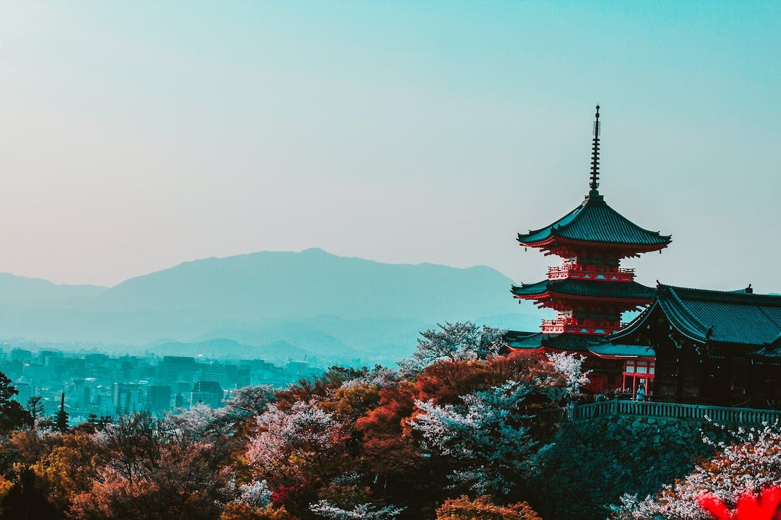 7 Rekomendasi Wisata Kota di Jepang yang Wajib Dikunjungi