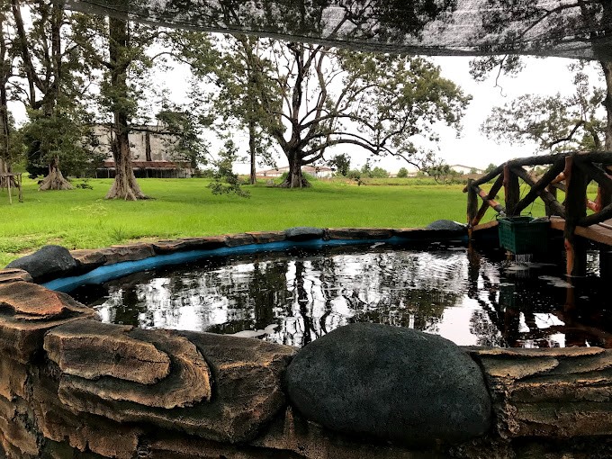 Kolam Citra Kebun Wisata